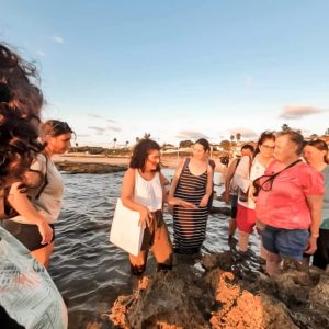 סיור סודות החוף הסלעי