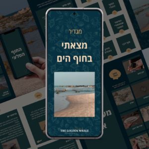 מגדיר "מצאתי בחוף הים"